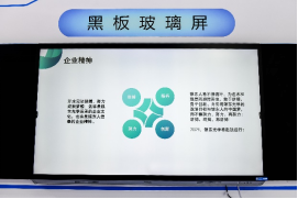2024深圳国际全触与显示展一场集结车载/工控/医疗/商显应用场景的国际化科技盛典