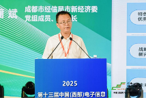 新动能、新生态、新西部—第十三届中国（西部）电子信息博览会隆重开幕