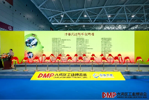 “全链协同・智创未来”——2025 DMP 工博会盛大启幕