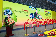 “全链协同・智创未来”——2025 DMP 工博会盛大启幕