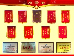 我司承建项目再获佳绩