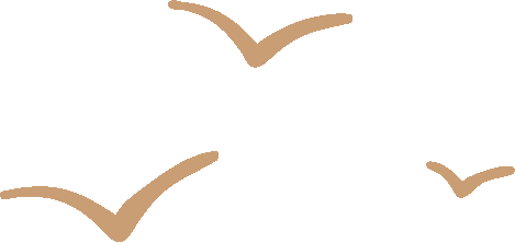 小萌系列新产品——蜘蛛机器人