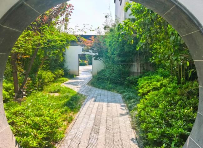 盘点2025丨“高速流量”转化为“经济留量”！这些服务区成为区域经济新引擎（图）