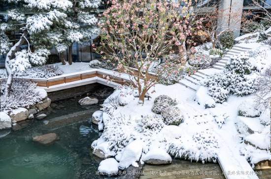 何谓“灯塔级”藏品？建发·海晏以实景作答