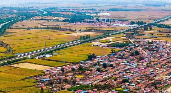 年度特别报道丨加快构建世界一流现代化铁路网