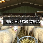 现代 HL850S 装载机 现代 HL850S 装载机