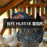 现代 HL851K 装载机 现代 HL851K 装载机