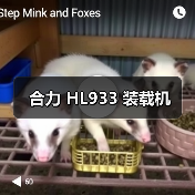 合力 HL933 装载机