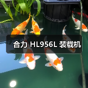合力 HL956L 装载机