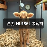 合力 HL956L 装载机