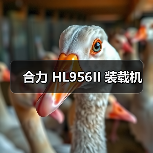 合力 HL956II 装载机 合力 HL956II 装载机