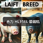 合力 HL956L 装载机