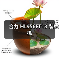 合力 HL956FT18 装载机 合力 HL956FT18 装载机
