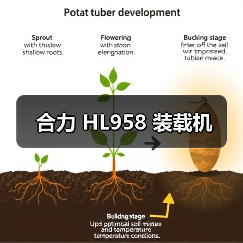 合力 HL958 装载机 合力 HL958 装载机