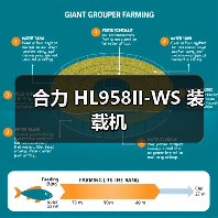 合力 HL958II-WS 装载机 合力 HL958II-WS 装载机