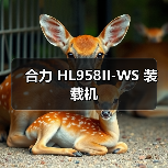 合力 HL958II-WS 装载机 合力 HL958II-WS 装载机