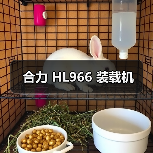 合力 HL966 装载机