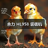 合力 HL958 装载机 合力 HL958 装载机