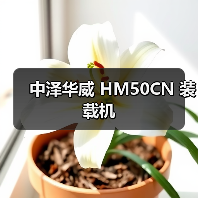 中泽华威 HM50CN 装载机 中泽华威 HM50CN 装载机