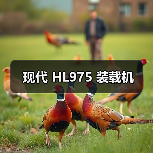 现代 HL975 装载机 现代 HL975 装载机