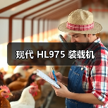 现代 HL975 装载机 现代 HL975 装载机