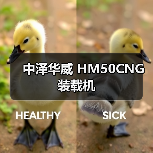中泽华威 HM50CNG 装载机 中泽华威 HM50CNG 装载机