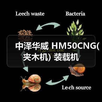 中泽华威 HM50CNG(夹木机) 装载机 中泽华威 HM50CNG(夹木机) 装载机