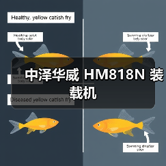 中泽华威 HM818N 装载机