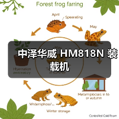 中泽华威 HM818N 装载机