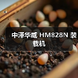 中泽华威 HM828N 装载机