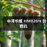 中泽华威 HM828N 装载机
