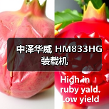 中泽华威 HM833HG 装载机 中泽华威 HM833HG 装载机