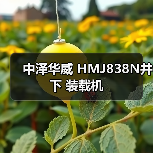 中泽华威 HMJ838N井下 装载机