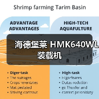 海德堡莱 HMK640WL 装载机