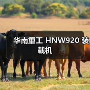华南重工 HNW920 装载机 华南重工 HNW920 装载机