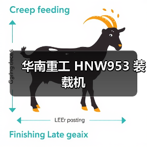 华南重工 HNW953 装载机
