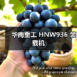 华南重工 HNW936 装载机