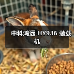 中科鸿远 HY936 装载机