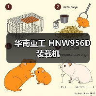 华南重工 HNW956D 装载机 华南重工 HNW956D 装载机