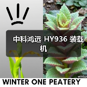 中科鸿远 HY936 装载机