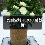 九洲金城 JC920 装载机 九洲金城 JC920 装载机