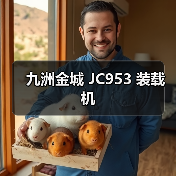 九洲金城 JC953 装载机 九洲金城 JC953 装载机
