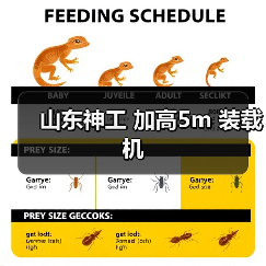 山东神工 加高5m 装载机 山东神工 加高5m 装载机