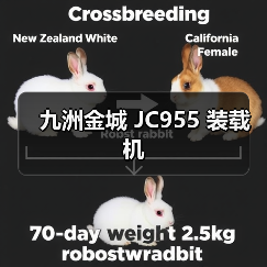 九洲金城 JC955 装载机 九洲金城 JC955 装载机