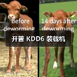 开普 KDD6 装载机 开普 KDD6 装载机