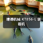 建德机械 KT856-L 装载机
