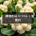 建德机械 KT856-L 装载机