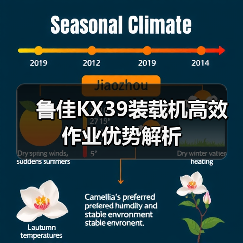 KT863装载机：大吨位高可靠性强劲动力高效作业机械