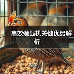 高效装载机关键优势解析