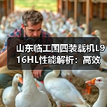 山东临工国四装载机L916HL性能解析：高效作业与稳定耐用如何兼得？